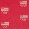 SKIMS FOR AMERYKAŃSKI BIUSTONOSZ OLIMPIJSKI Z WYCIĘTYM KRĄŻKIEM DLA KAŻDEGO SKIMS FOR AMERYKAŃSKI BIUSTONOSZ OLIMPIJSKI Z WYCIĘTYM KRĄŻKIEM DLA KAŻDEGO